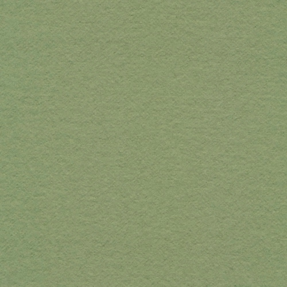 Muted sage-green fabric with a softly mottled, finely textured surface