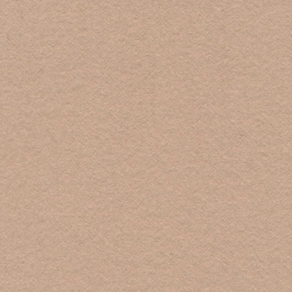 Warm parchment-beige fabric with a fine, softly mottled woven surface