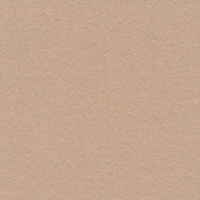 Warm parchment-beige fabric with a fine, softly mottled woven surface