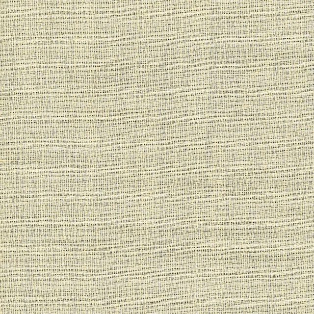 Pale ivory sheer fabric with a fine grey-green open grid weave