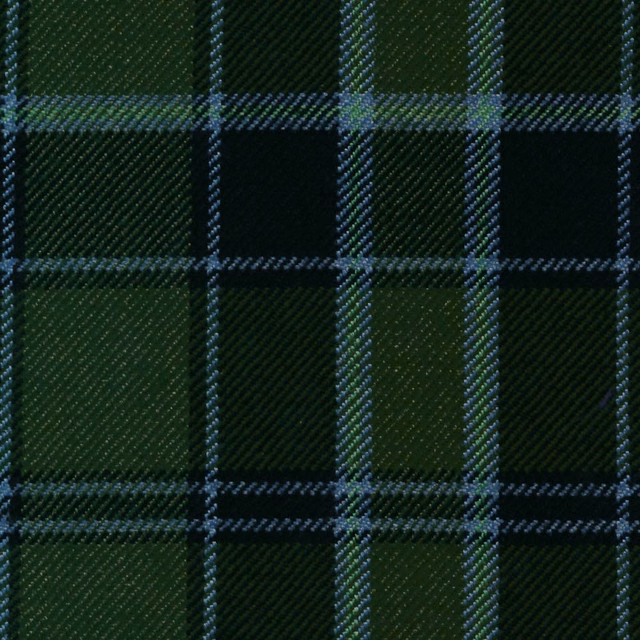 Dark forest-green tartan with black blocks and cool blue-grey overcheck lines