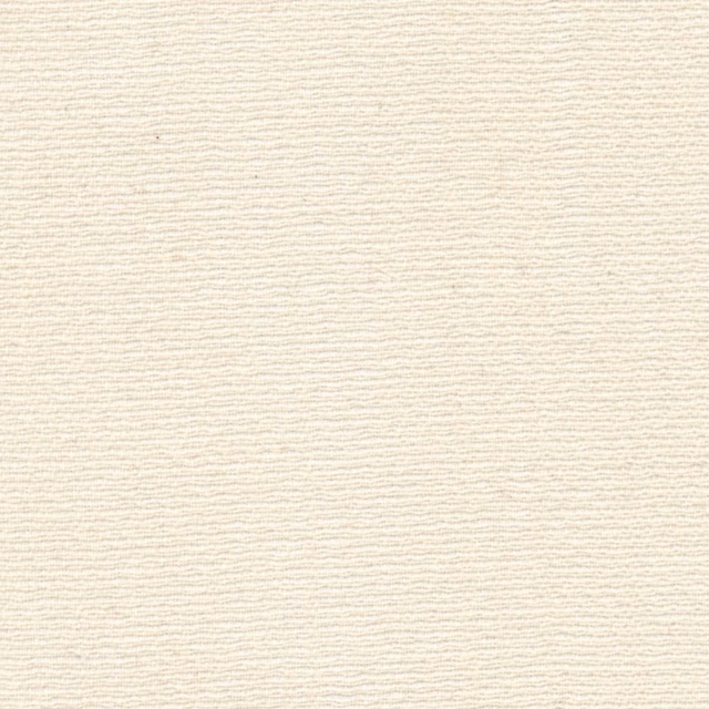 Soft ivory-white sheer showing delicate horizontal slub texture and subtle woven variation
