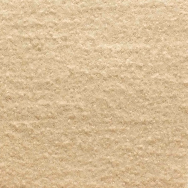 Warm champagne beige boucle with soft cream highlights and a fuzzy, flecked surface