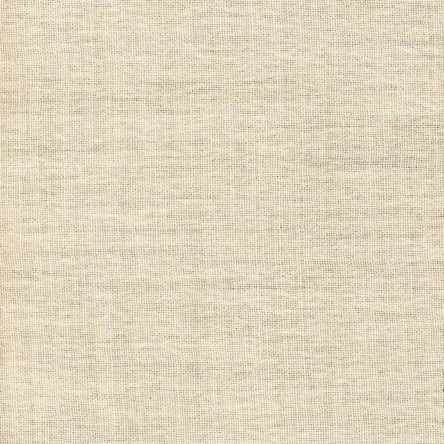 Warm ivory sheer with a fine, lightly irregular open grid weave