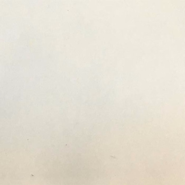 Pale warm white plain fabric swatch with a smooth, matte finish