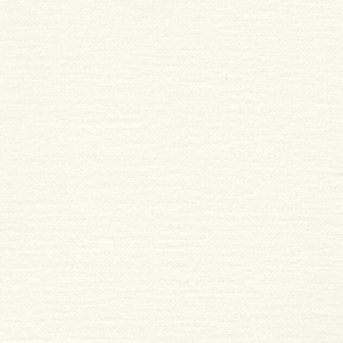 Pale cream plain fabric swatch with a smooth, softly textured surface