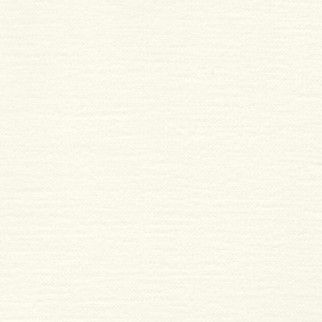 Pale cream plain fabric swatch with a smooth, softly textured surface