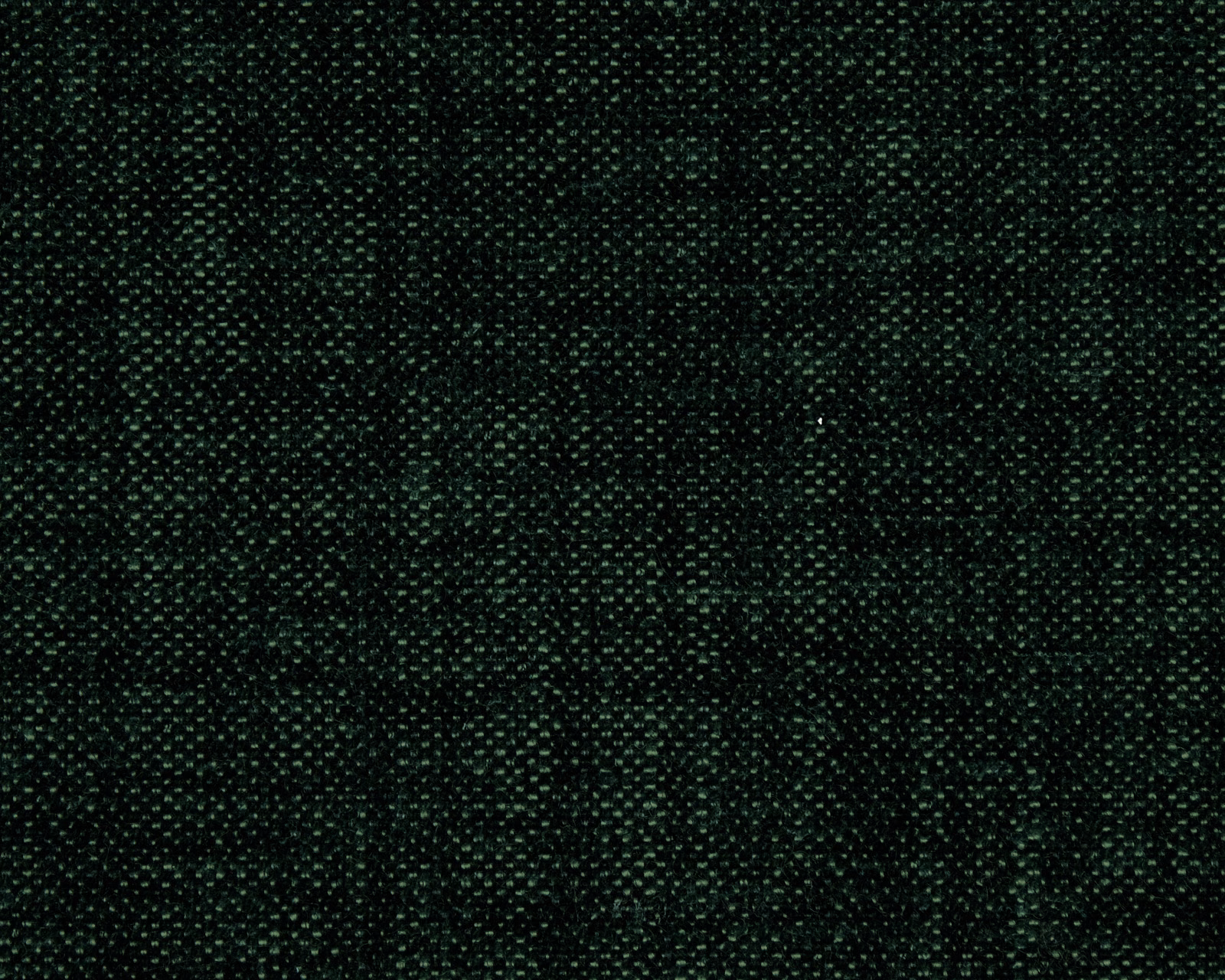 Dark forest green plain weave swatch with fine peppered texture