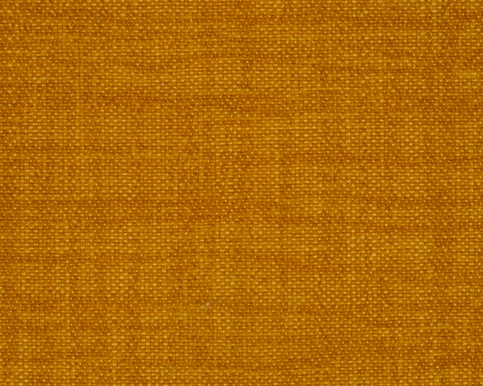 Close-up of a warm ochre gold plain weave fabric with fine texture