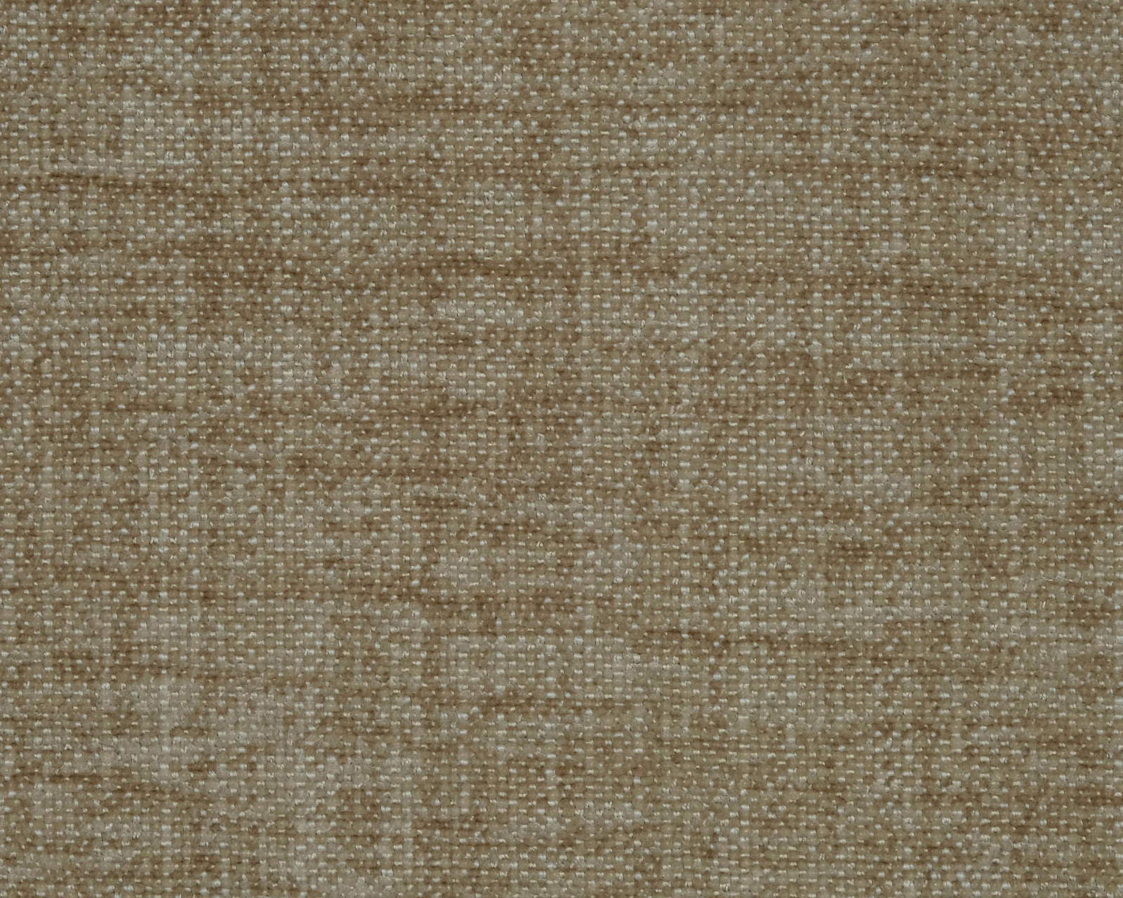 Close-up of warm sandy beige plain weave with fine nubby texture