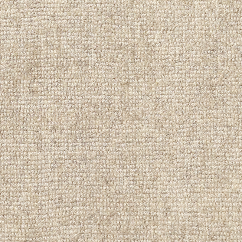 Close-up of warm beige Ammonite carpet with a softly nubby ivory-flecked weave