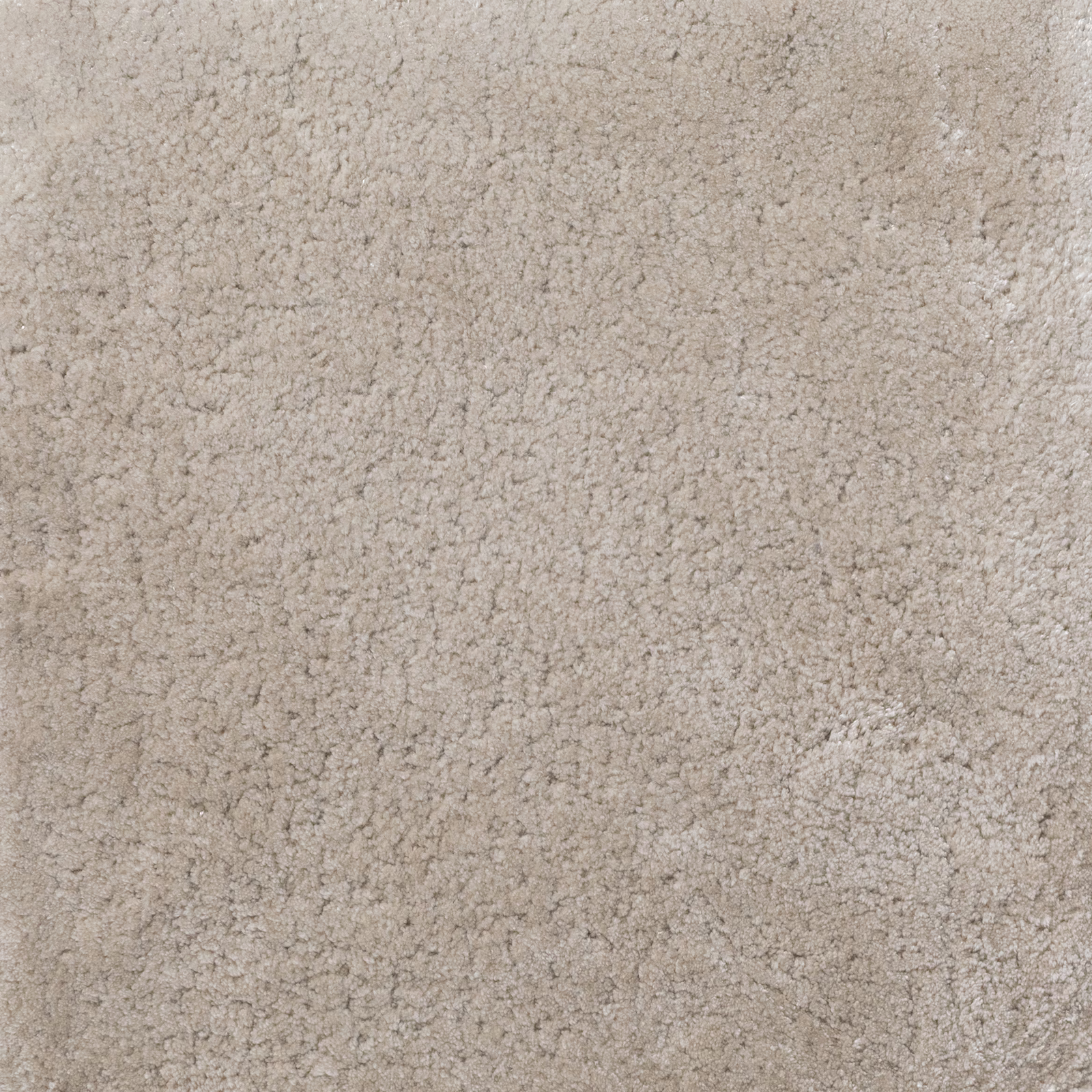 Platinum greige-taupe carpet with a dense nubby pile and softly mottled surface