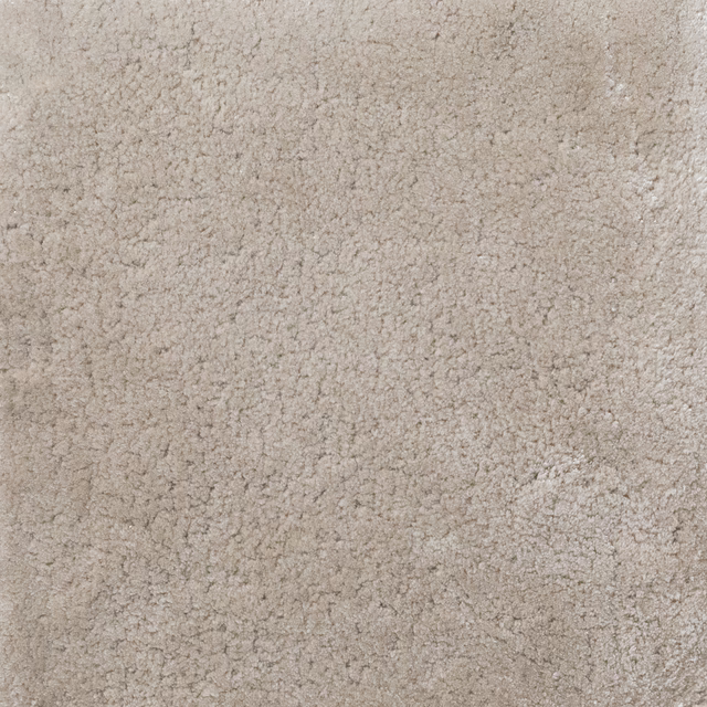 Platinum greige-taupe carpet with a dense nubby pile and softly mottled surface