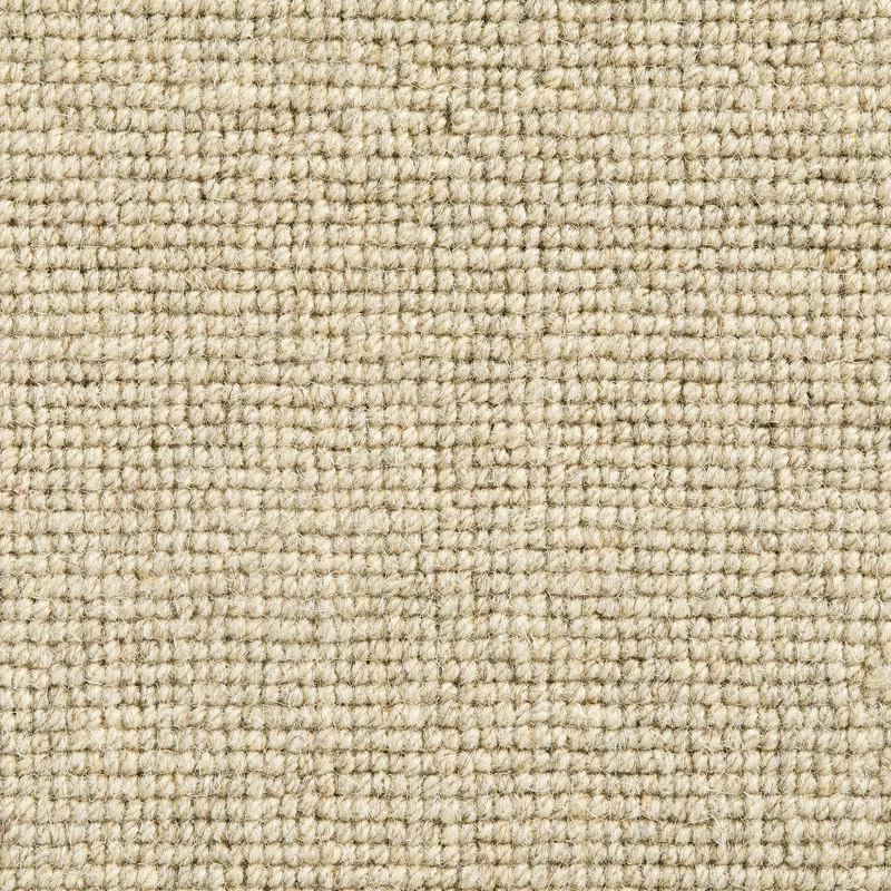 Warm barley carpet textile with nubby cream-beige loops and subtle oat flecks