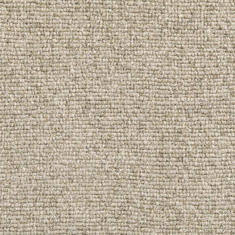 Close-up of Senecio showing a mottled greige nubby woven carpet texture