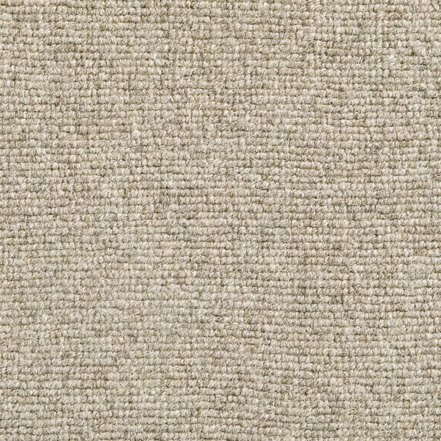 Close-up of Senecio showing a mottled greige nubby woven carpet texture