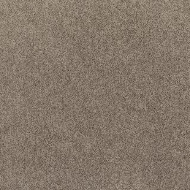 Warm mushroom taupe carpet with dense fine pebble-textured surface