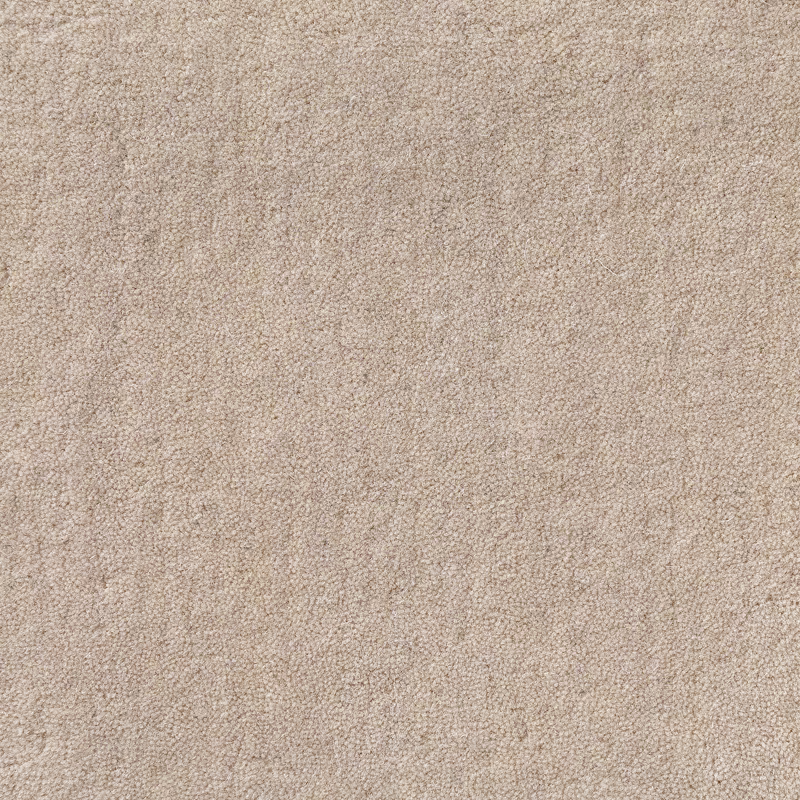 Warm beige Cowrie swatch showing a dense, softly pebbled looped texture