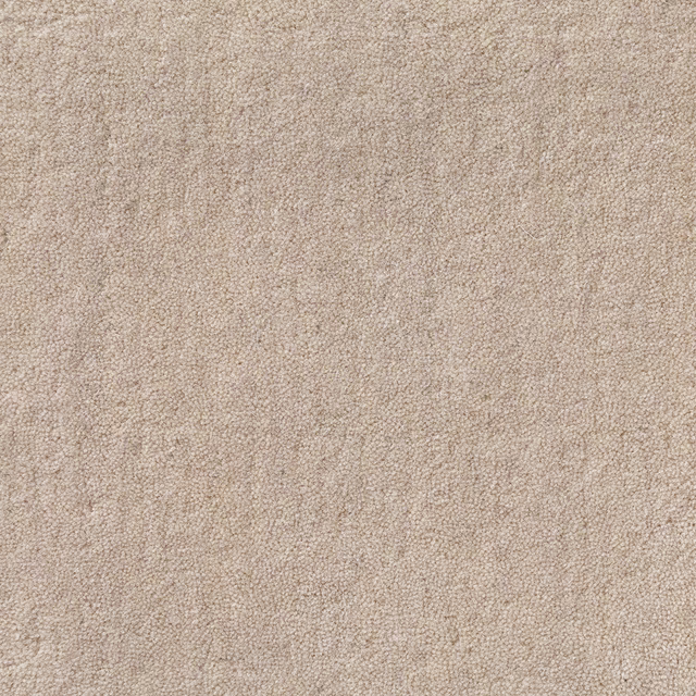 Warm beige Cowrie swatch showing a dense, softly pebbled looped texture