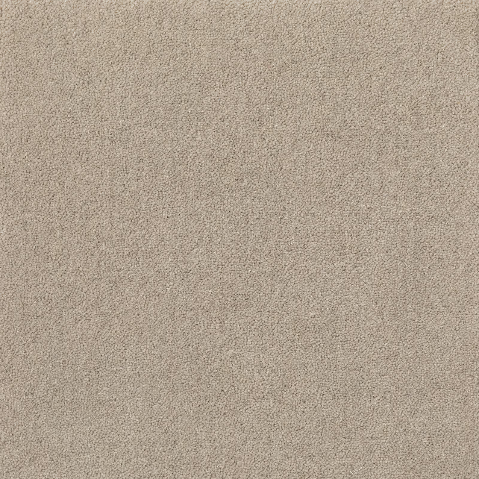 Warm Spelt taupe carpet with dense pebble-like loops and subtle tonal flecking