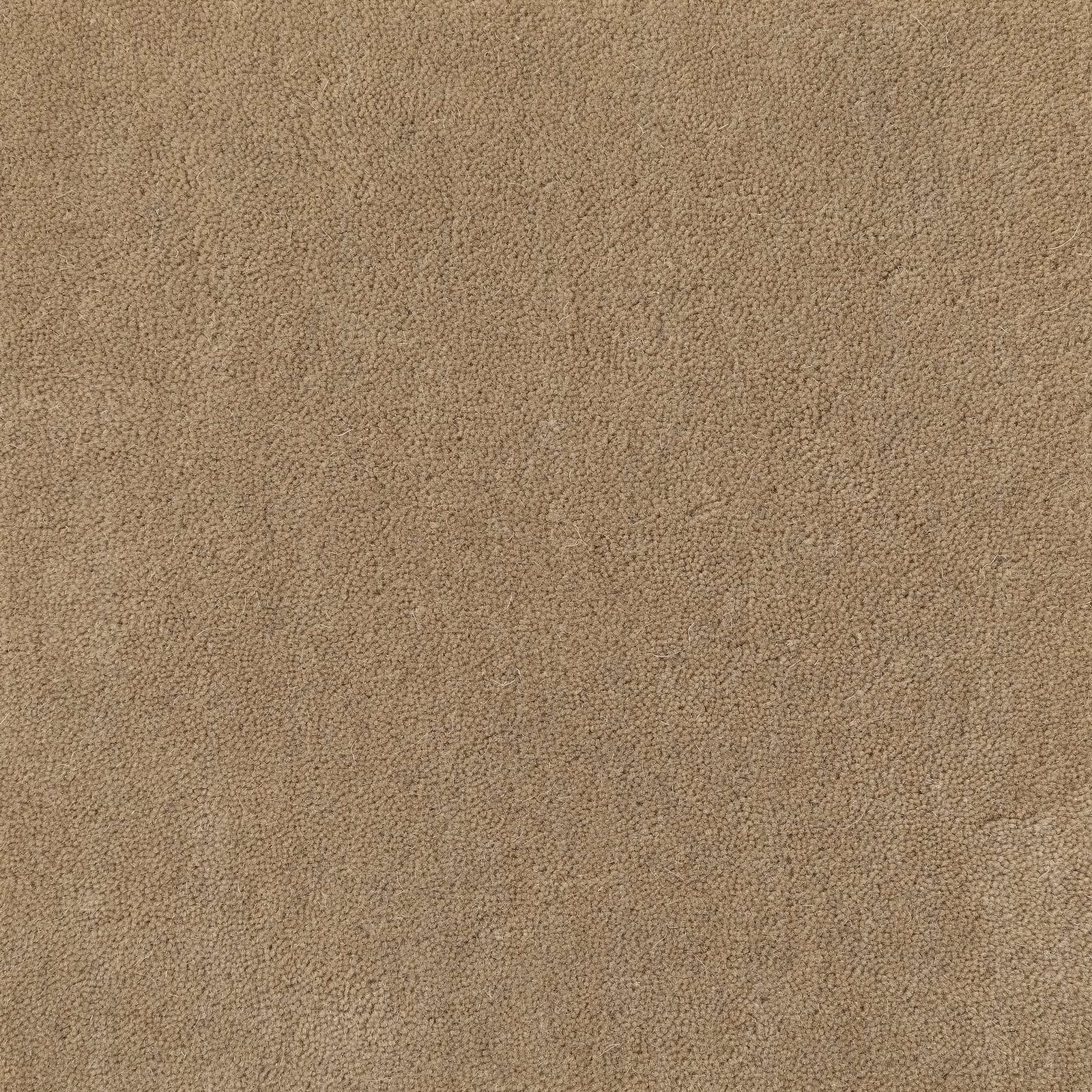 Warm straw taupe carpet with dense pebbled pile and subtle tonal variation