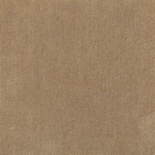 Warm straw taupe carpet with dense pebbled pile and subtle tonal variation