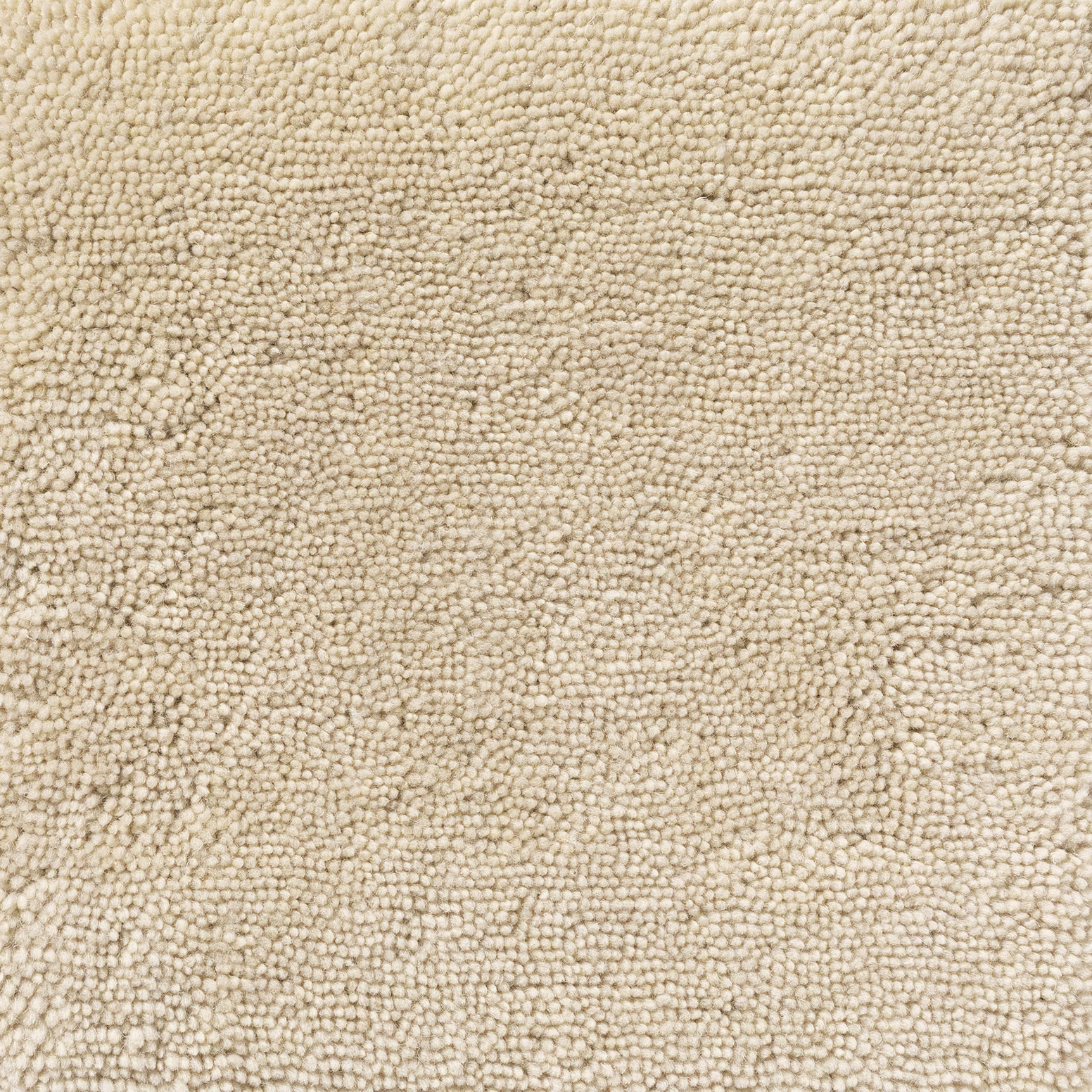 Warm chamomile cream carpet with dense nubby loops and subtle beige tonal variation