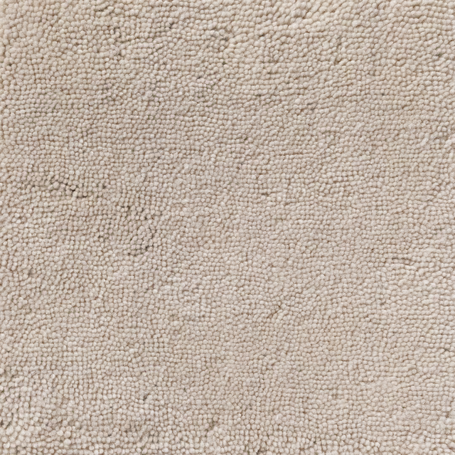 Pale warm beige carpet with dense rounded loops and softly mottled texture