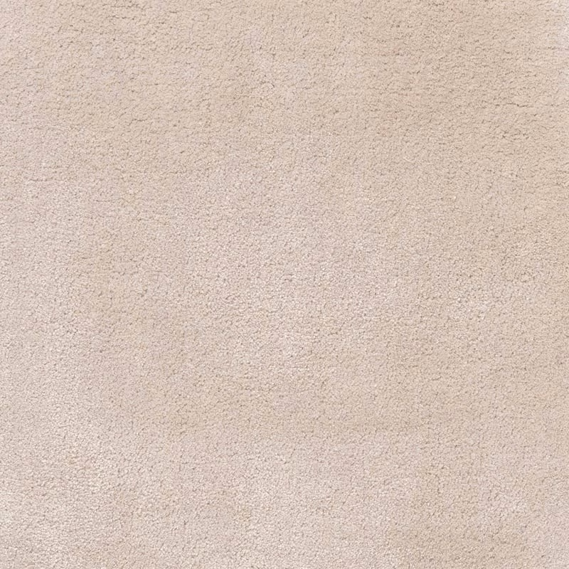 Pale warm greige carpet with dense, softly mottled low-pile texture