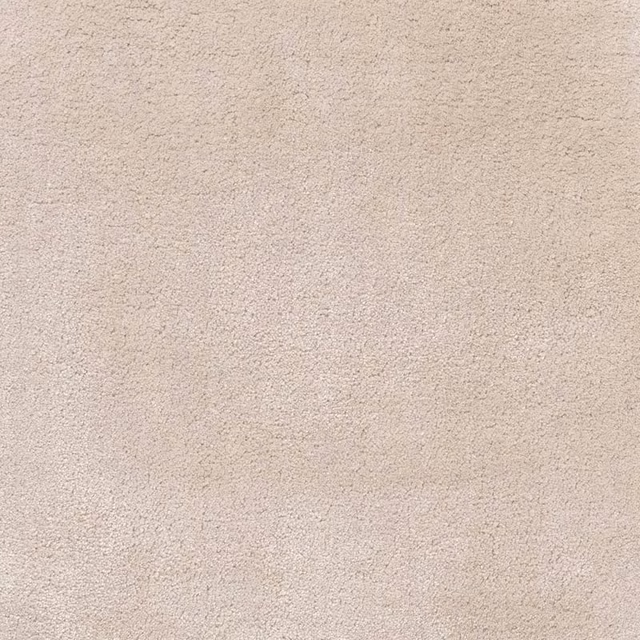 Pale warm greige carpet with dense, softly mottled low-pile texture