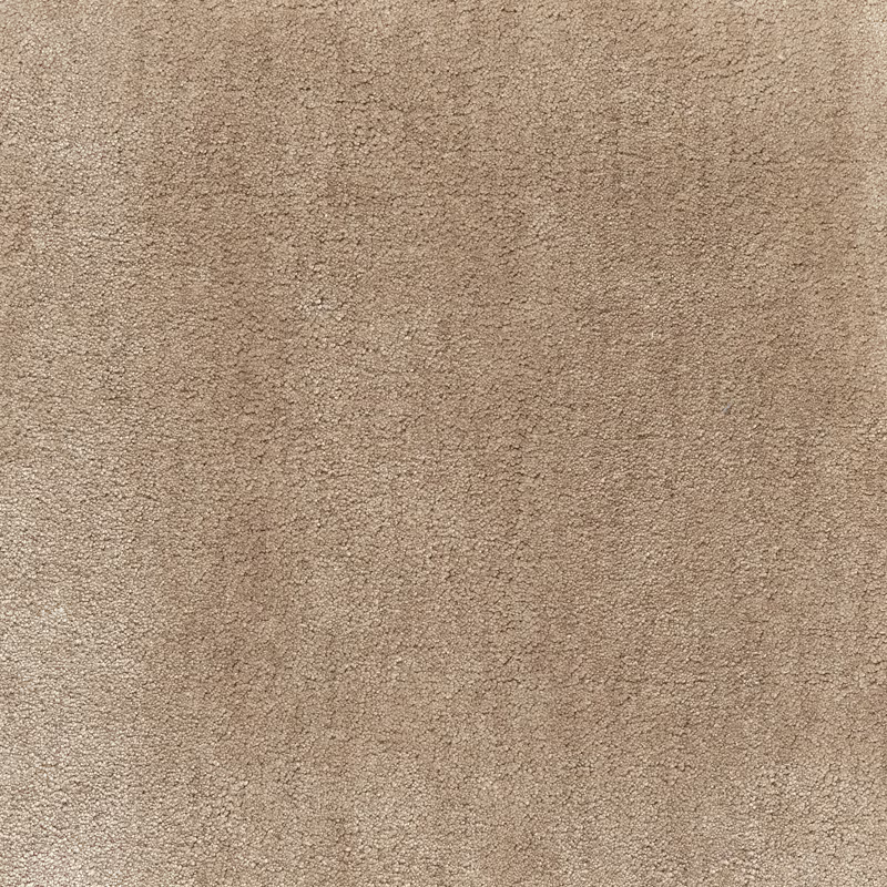 Warm fawn taupe carpet showing a dense, softly mottled surface in close view