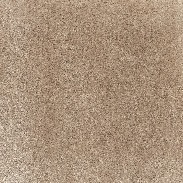 Warm fawn taupe carpet showing a dense, softly mottled surface in close view