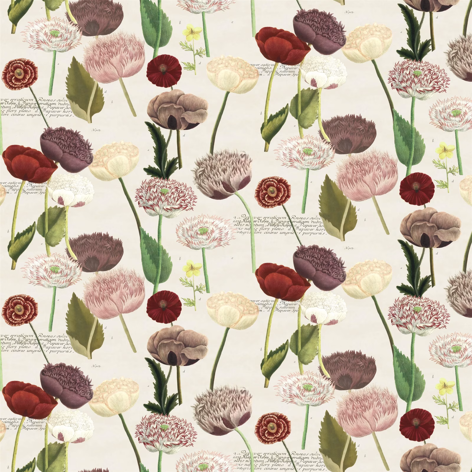 Poppy Study Violet fabric