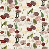 Poppy Study Violet fabric