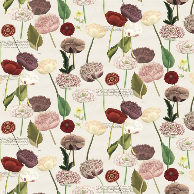 Poppy Study Violet fabric