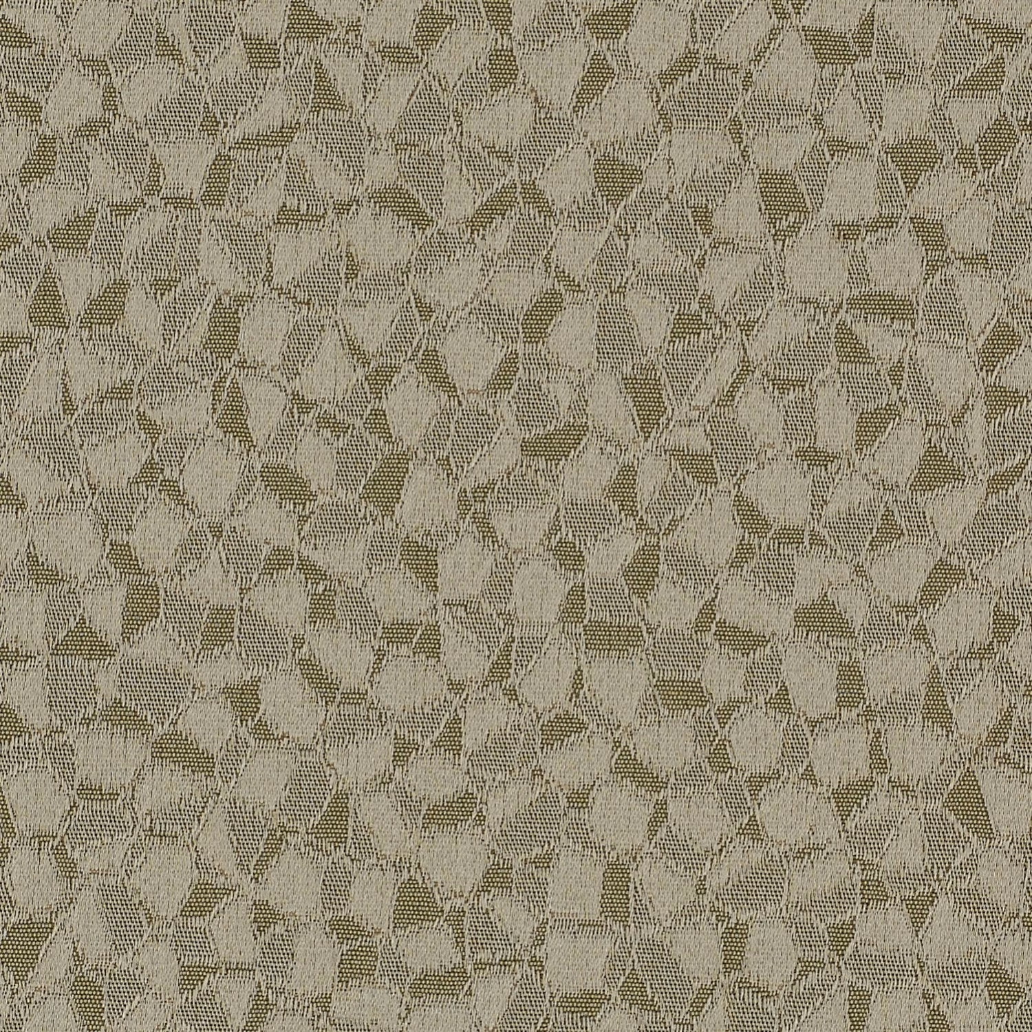 Argento Silk Midas fabric