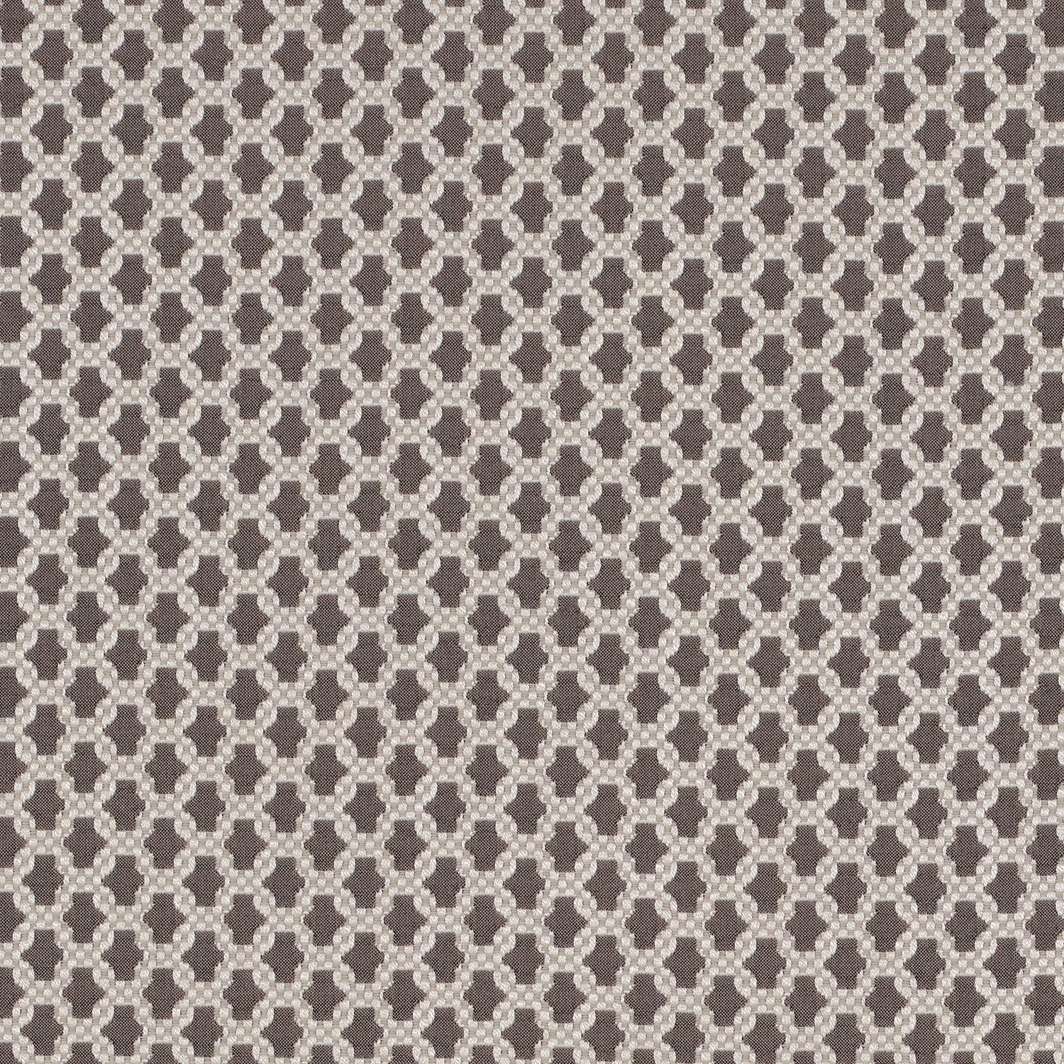 Asscher Nirvana fabric