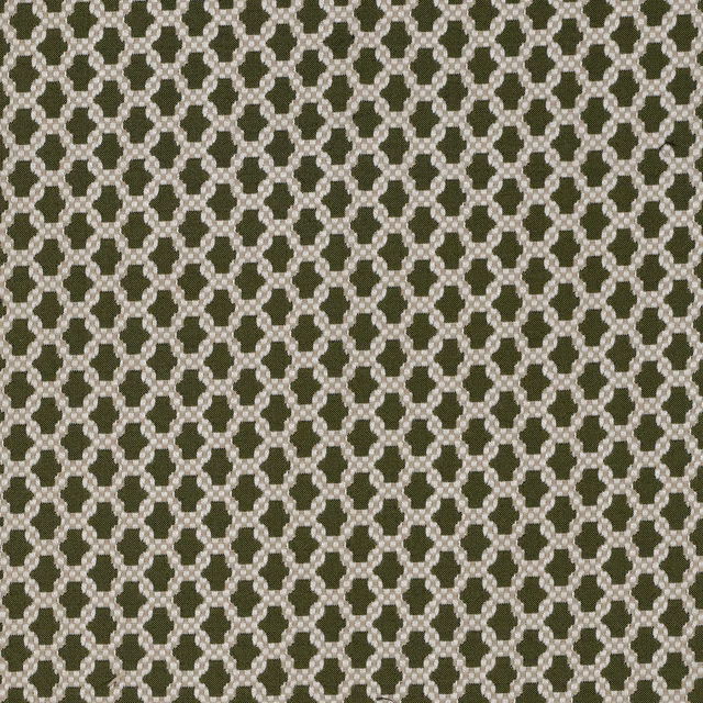 Asscher Perfect Pear fabric