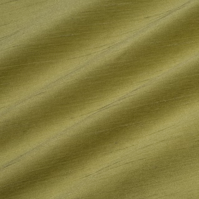 Astor Lime Daiquiri fabric