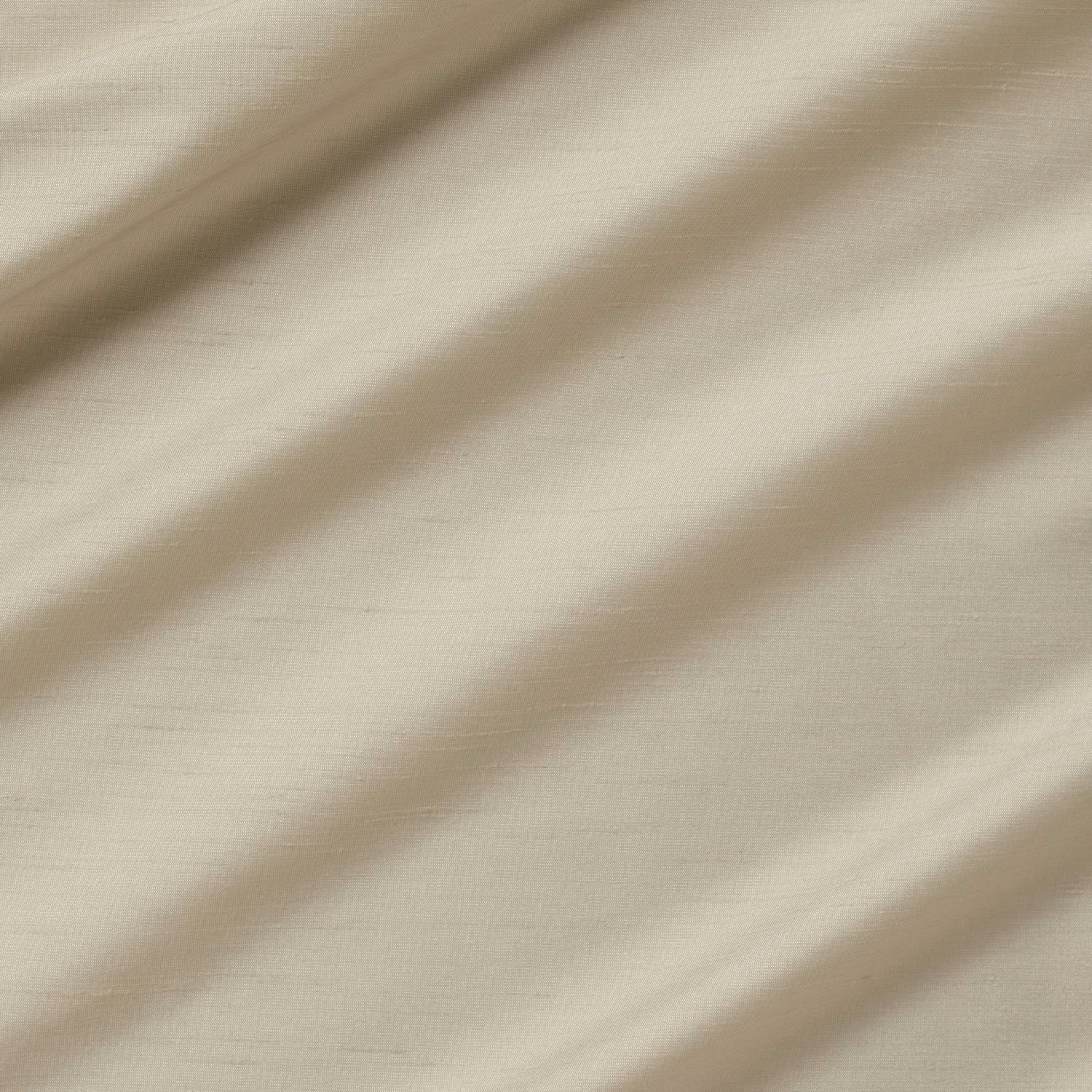 Astor Scallop fabric