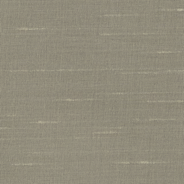 Astor Wallcovering Cuckoo fabric