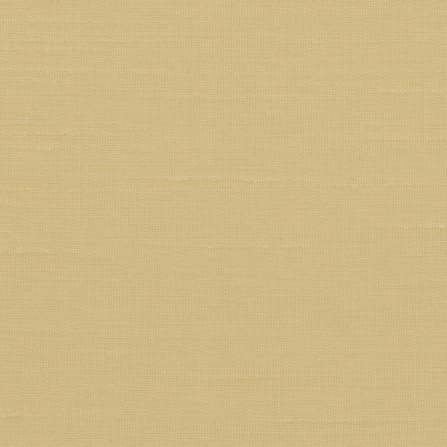 Astor Wallcovering Grapefruit fabric