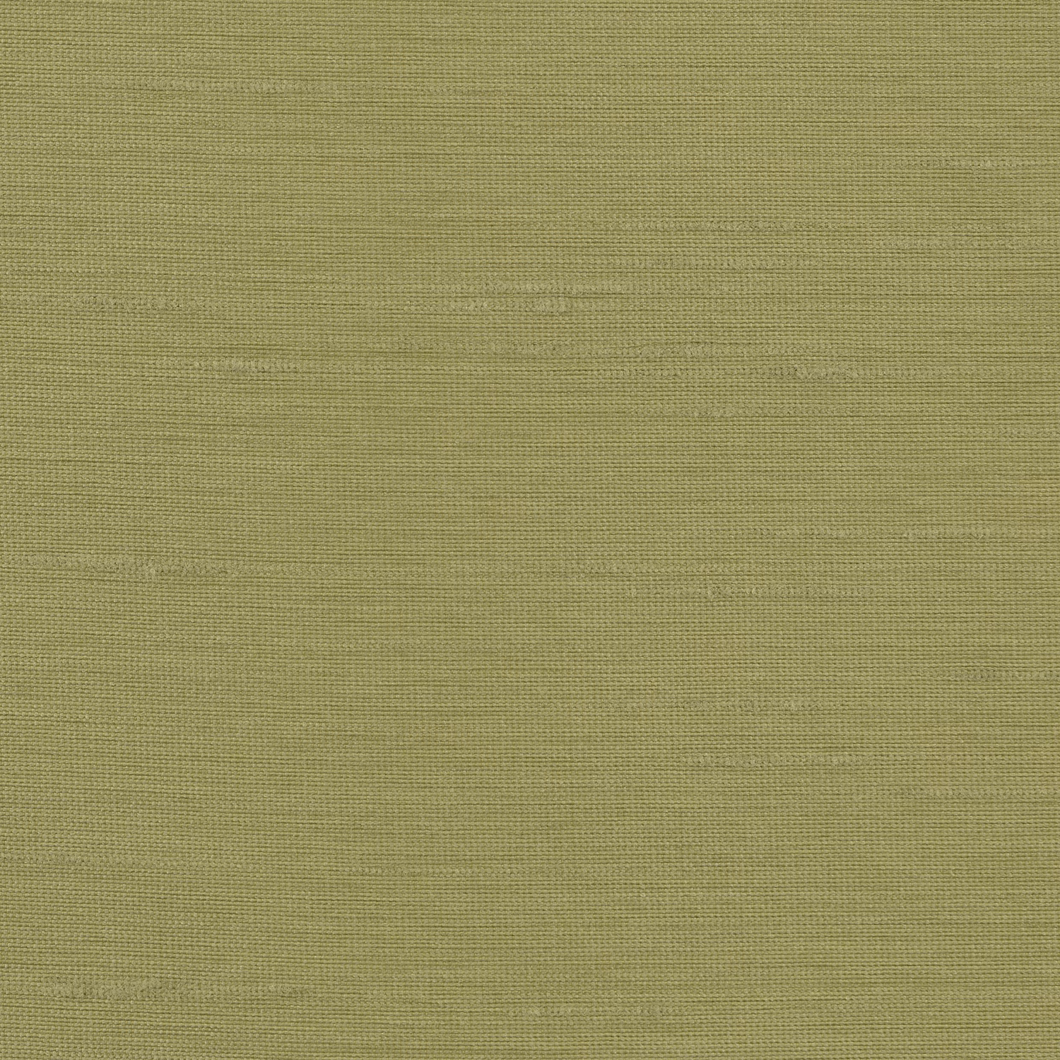 Astor Wallcovering Lime Daiquiri fabric