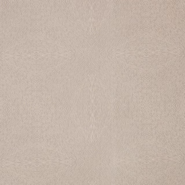 Kaleidoscope Etched fabric