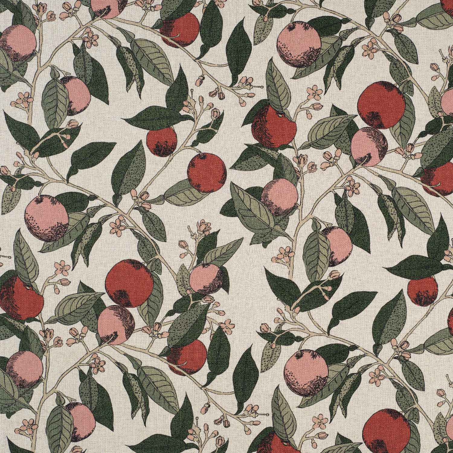 Orange Grove Cherry Rose fabric
