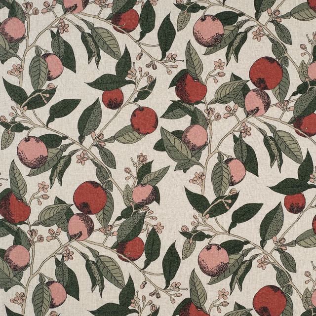 Orange Grove Cherry Rose fabric