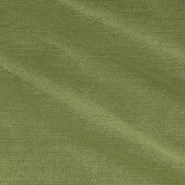 Orissa Silk Coriander fabric