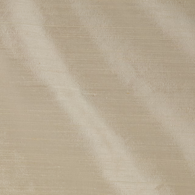 Orissa Silk Mica fabric