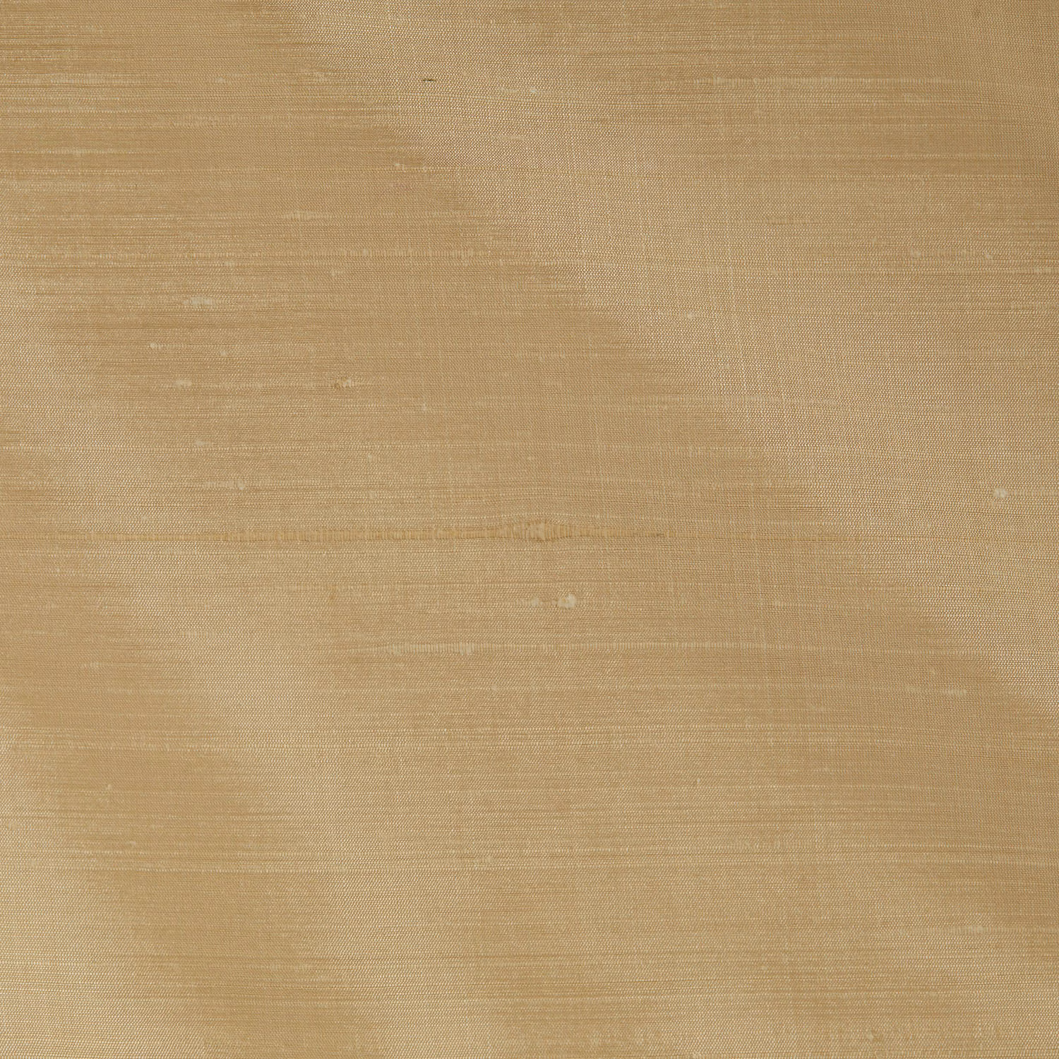 Orissa Silk Prosecco fabric
