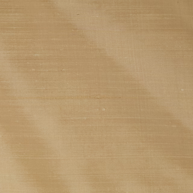 Orissa Silk Prosecco fabric